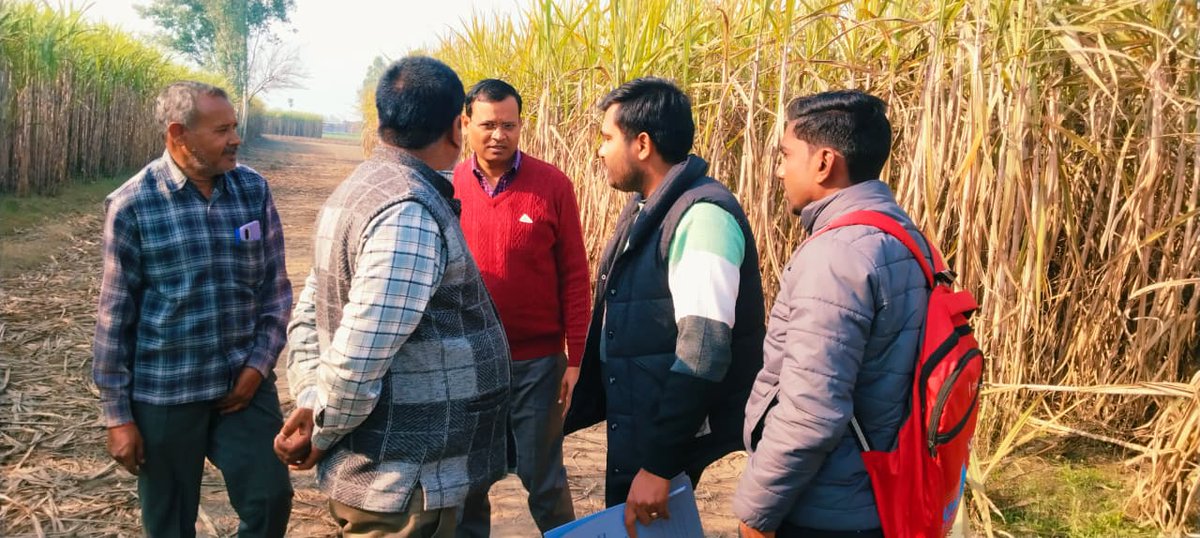 खेत की बात, खेत पर! 🌾
गन्ना खेती में फैसला काग़ज़ से नहीं,
खेत देखकर, मिट्टी जाँचकर और वैज्ञानिक सलाह से लें।
🌱 सही किस्म | 💧 संतुलित सिंचाई | 🧪 मृदा परीक्षण | 🐛 समय पर नियंत्रण
= अधिक पैदावार, बेहतर रिकवरी, कम लागत।
खेती फाइल से नहीं, खेत से बदलती है। 🚜