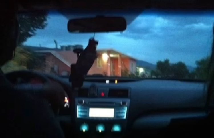 Moongazer tweet media