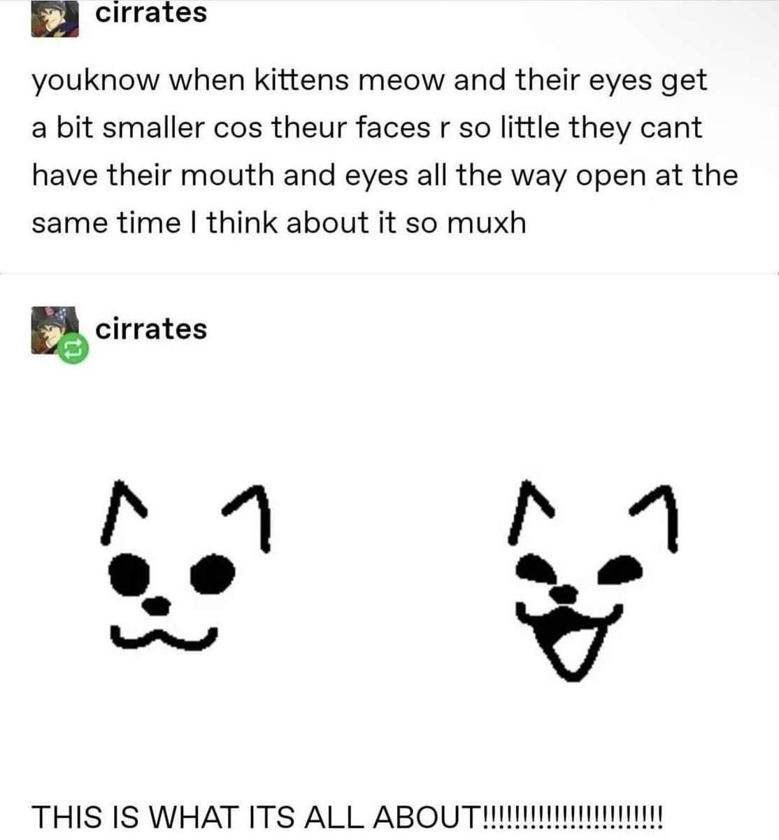 PunchingCat's tweet photo. https://t.co/3eSJlLFhON