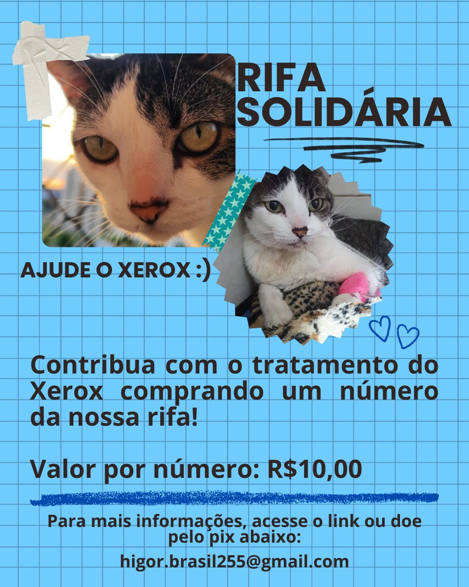 Braziliano01's tweet image. ⚠️AJUDEM O XÉROX
Os custos do tratamento dele já passaram de 5000,00 por isso eu fiz uma rifa no valor de R$ 10,00
rifa.digital/s/Eb4fhD7pU6u

Caso queira contribuir de outras maneiras, considere qualquer valor no pix abaixo ou apenas compartilhando 

Pix: higor.brasil255@gmail.com