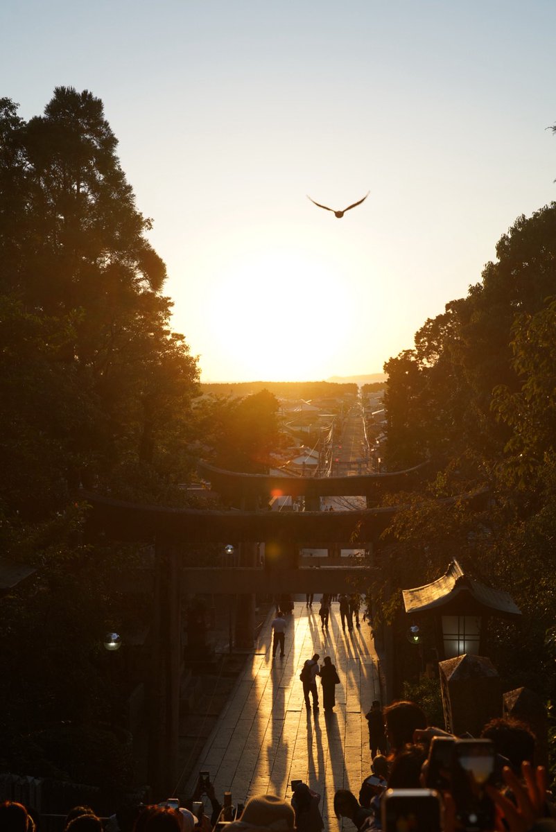 毎日朝起きるのが楽しい
前日の集計結果を見るのが楽しい
でも結果の悪い日が続くと結果を見るのはつらい

こんなにも一喜一憂できる人生でやっぱり楽しい！！