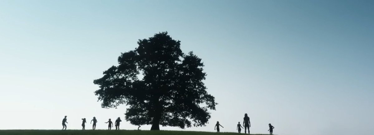 Cameron Frew tweet media