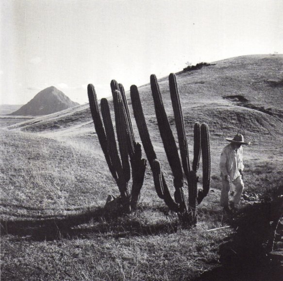 HistoriasLitera's tweet image. Juan Rulfo, aparte del brillante escritor que conocemos, fue un gran fotógrafo que retrató durante décadas el México que le tocó vivir. 

Decía Rulfo:
"Para escribir tengo que imaginar. La realidad no me dice nada literariamente, aunque pueda decírmelo fotográficamente."

La…