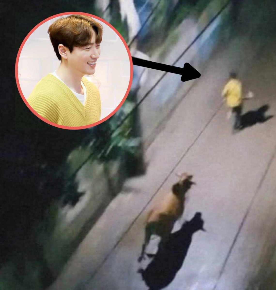 callmanamejh's tweet image. 사실 이준혁은 옛날에 소한테 쫓긴 적이 있다.