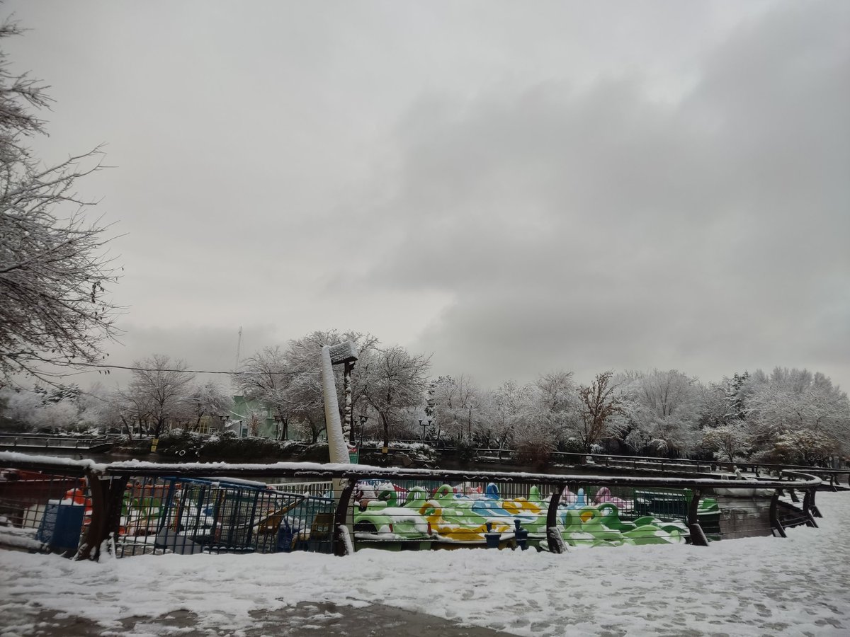 MMorshedi3's tweet photo. یکم زیبایی 😍 https://t.co/LNLoileaVW