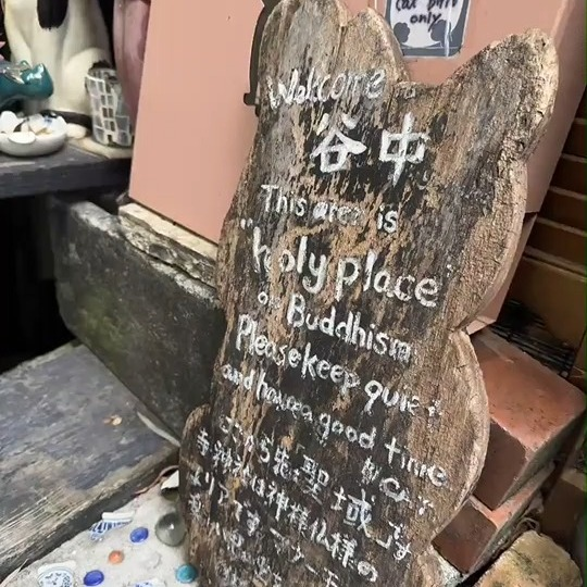 serli034's tweet photo. 谷中の、とっても小さな路地にあるんですけど、周りの住民の方々が、亡くなった猫ちゃんのために特別に建てた神社なんです

#猫神社 #谷中 #猫好きな人と繋がりたい #癒しスポット #小さな路地 #ねこのいる暮らし #かわいい #お散歩スポット #猫のいる暮らし #猫巡り https://t.co/xipXHqCMUl