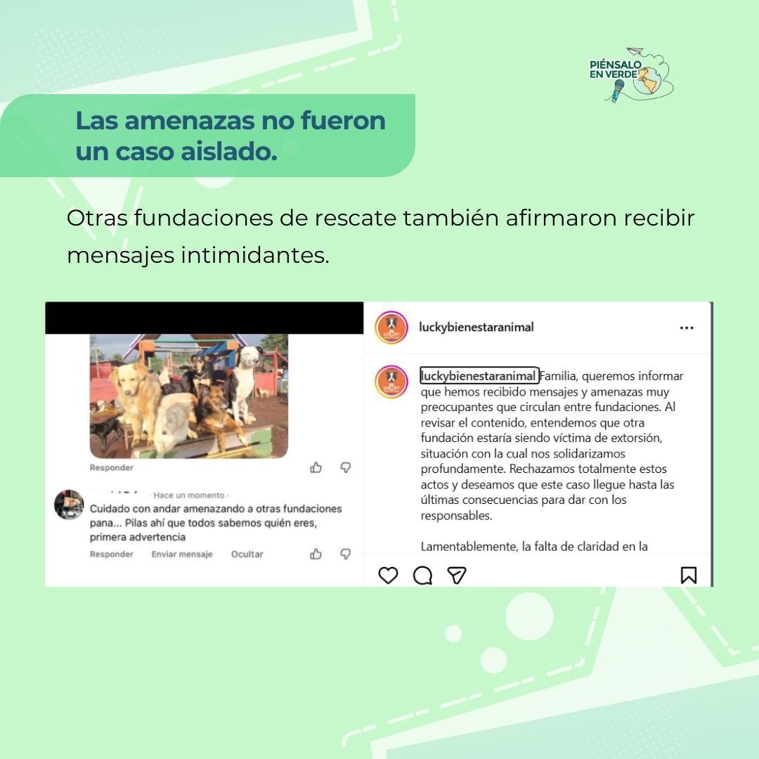 🧵 1/2 #Noticias l El refugio Amigos de Lucas, en #Quito, denunció un ataque violento a sus instalaciones el 21 de enero. El hecho ocurrió semanas después de amenazas contra su fundador, voluntarios y animales. Varias fundaciones alertaron situaciones similares. #RescateAnimal