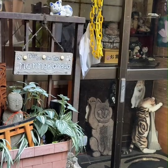 serli034's tweet photo. 谷中の、とっても普通の小さな路地にあるんですけど、猫ちゃんのためだけに作られた猫神社なんです

#猫神社 #谷中 #猫好きな人と繋がりたい #癒しスポット #小さな路地 #ねこのいる暮らし #かわいい #お散歩スポット #猫のいる暮らし #猫巡り https://t.co/ATLTfVWC2b