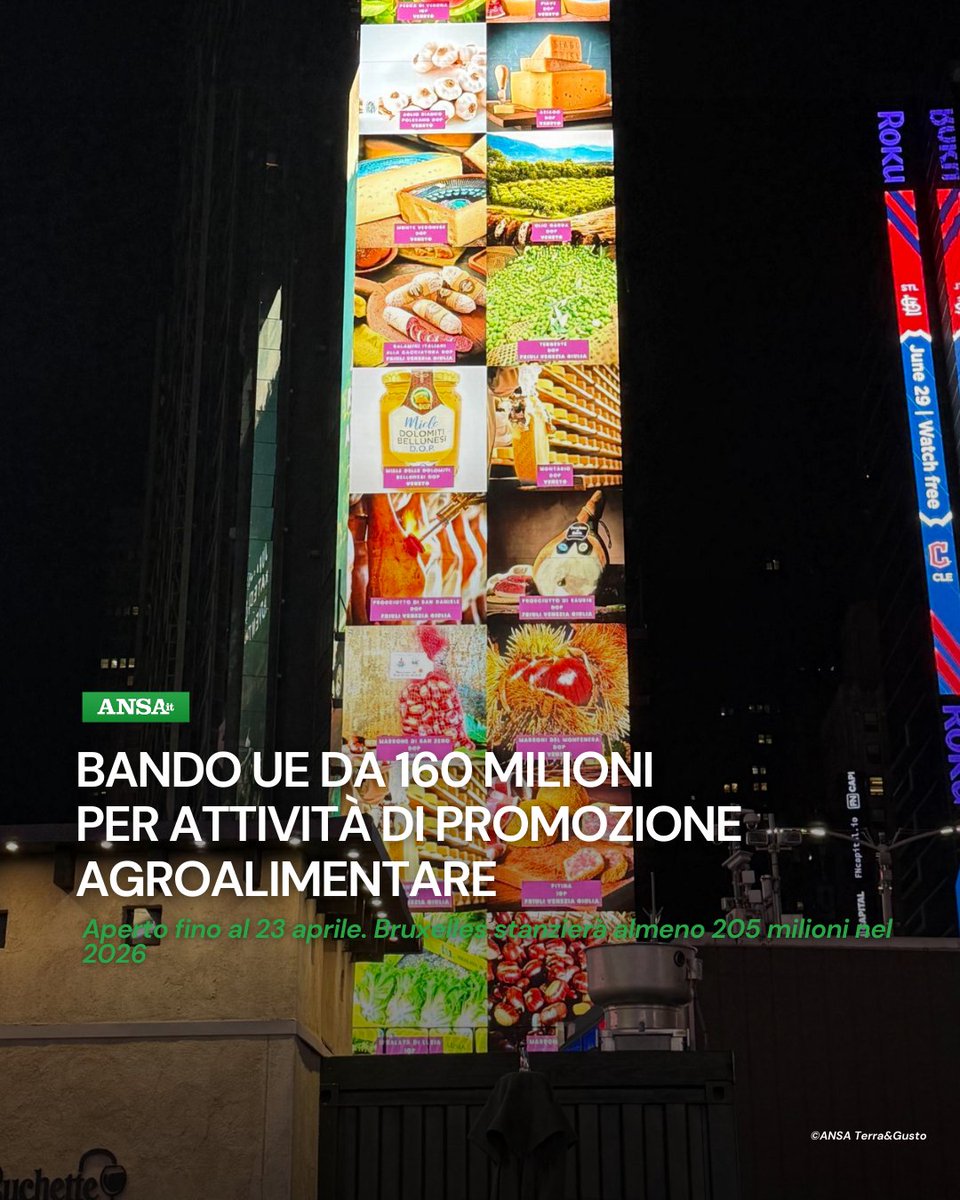 La #Commissione europea ha lanciato il primo bando da 160 milioni di euro in sovvenzioni per la promozione di prodotti #agroalimentari sostenibili europei. Lo ha annunciato Bruxelles in una nota.
#ANSATerraGusto 
➡ bit.ly/4bdsjX1