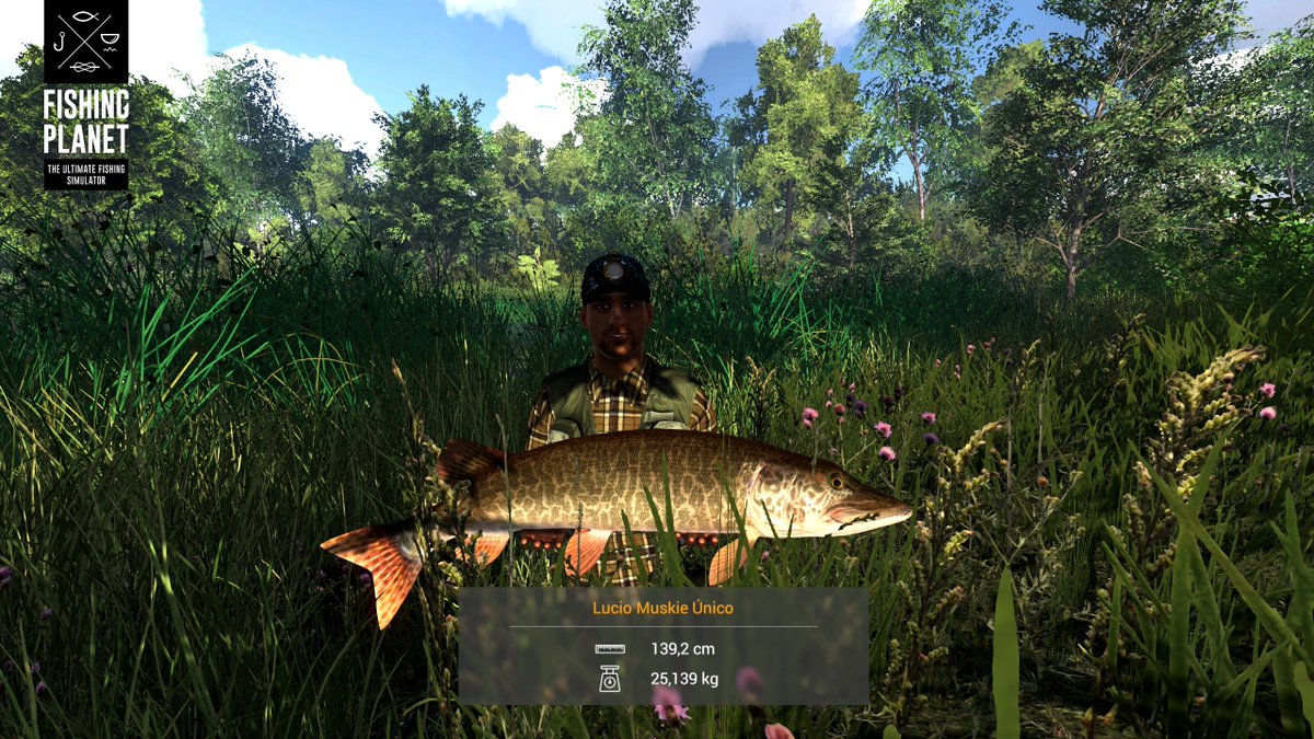 ɎØɆMAR ⚓️ tweet media