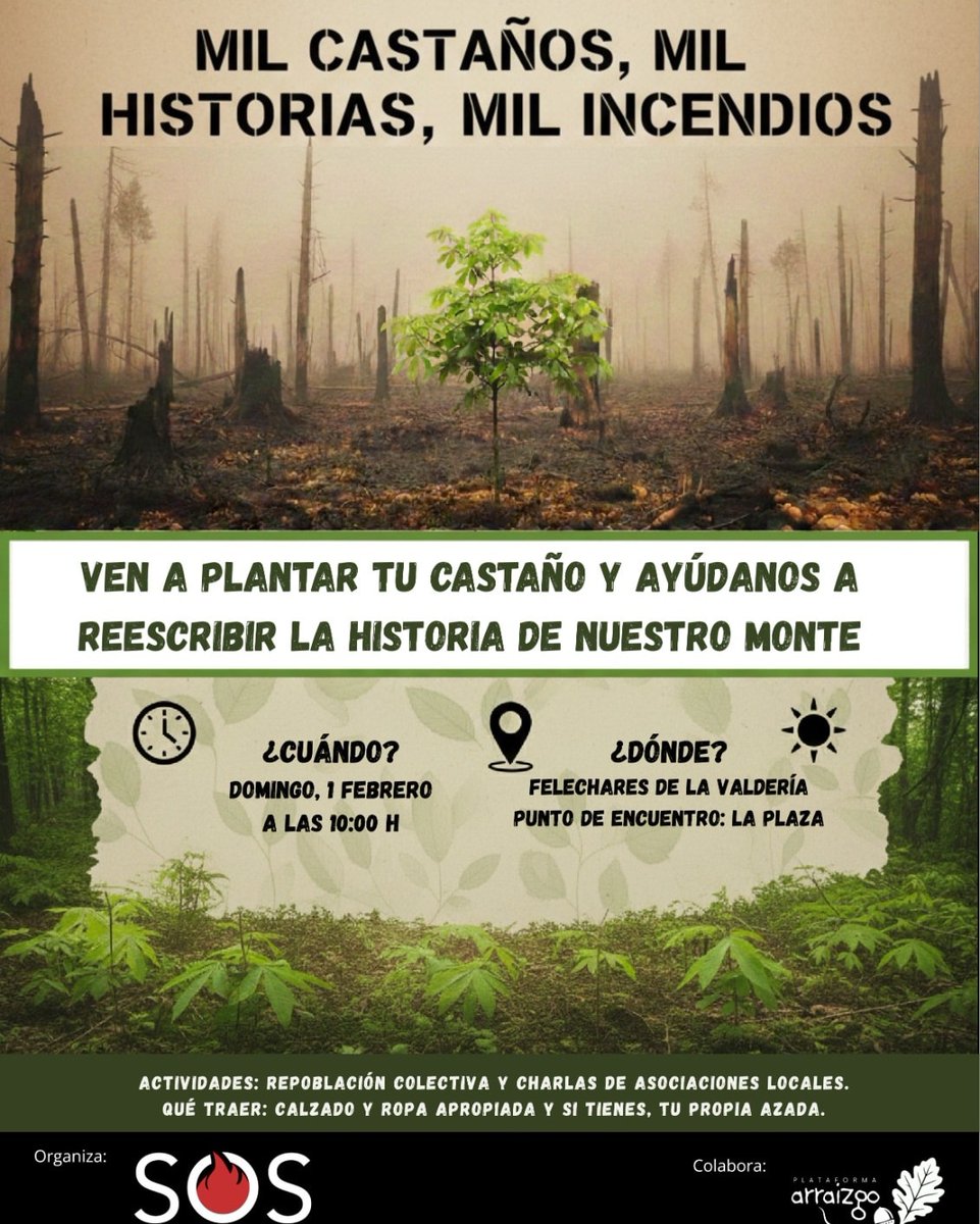 Plantación de castaños en un área arrasada este verano por los incendios.
LUGAR: 🛣️*Felechares de la Valdería*. 
En la plaza del pueblo a las ⏰10.00h

¡Nos vemos en Felechares el día 1!
