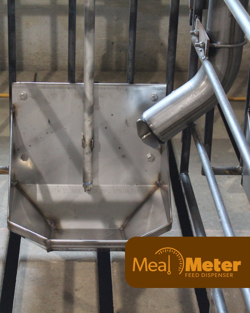 Another big month of MealMeters and tubes shipping out, helping farm teams spend less time on cleanup and more time focused on animal health and performance. Cleaner barns, healthier sows, and better days for the people who care for them.
pigeasy.com/feeding-sows-i…
#pigeasy