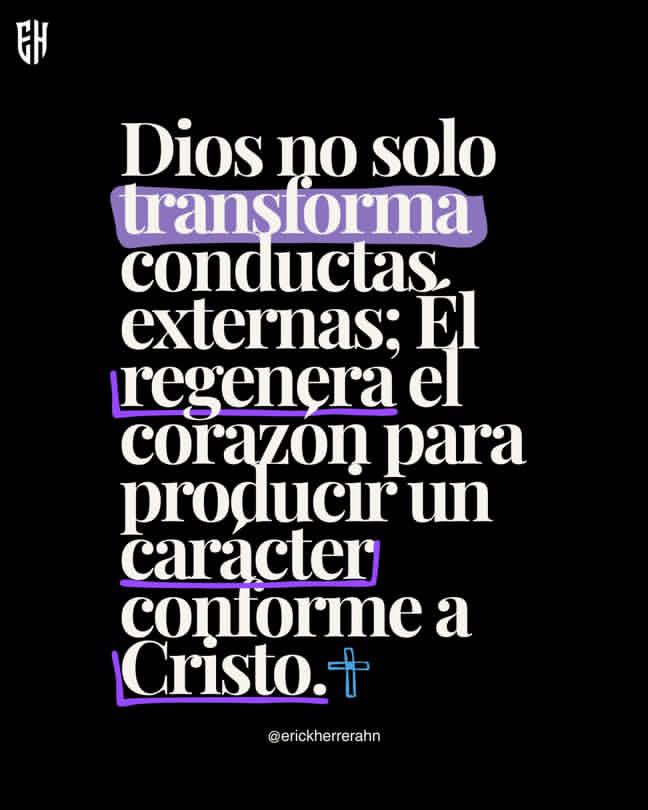 el Siervo (@elsiervo__) on Twitter photo 