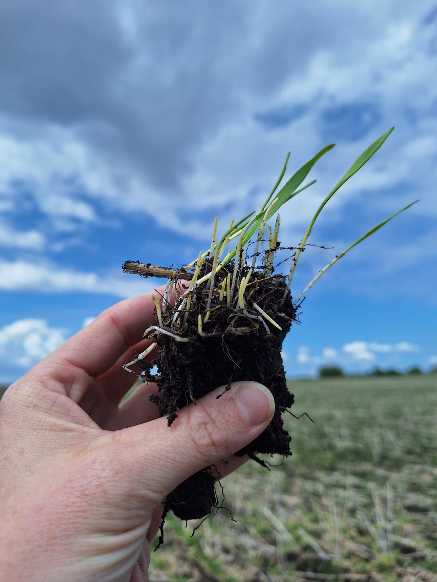 Robyn Gerrard tweet media