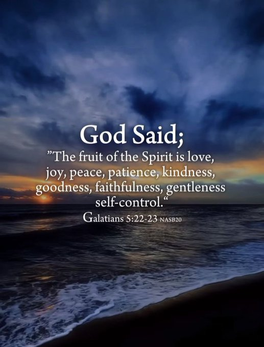 ElRoiShalom's tweet image. 