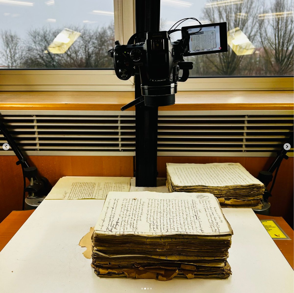 Greg Wolf tweet media