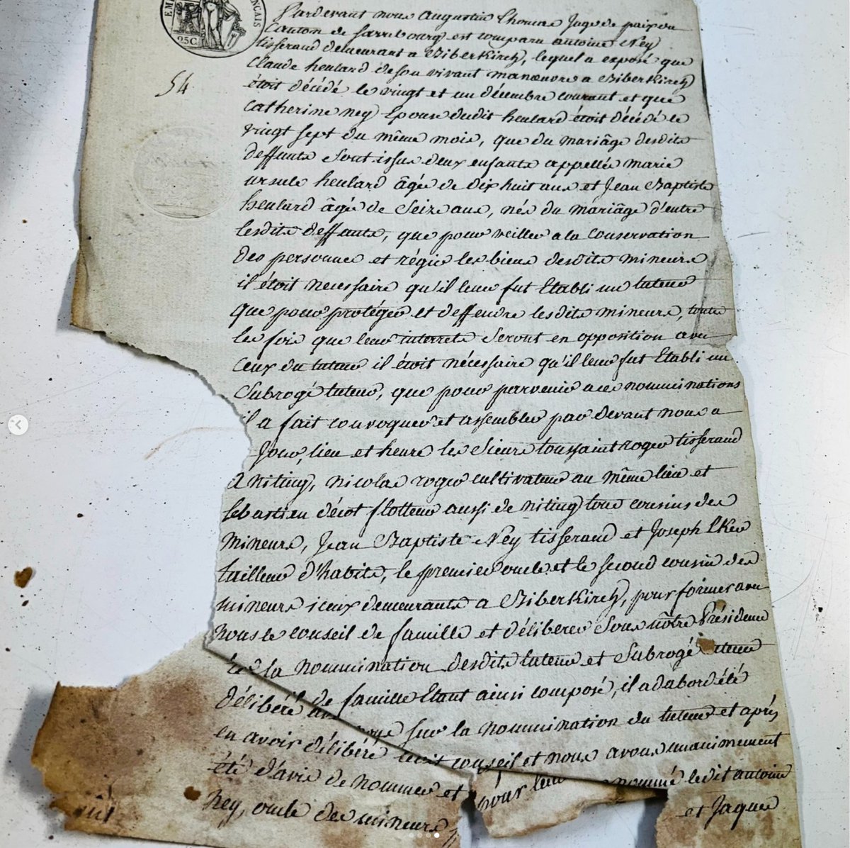 Greg Wolf tweet media