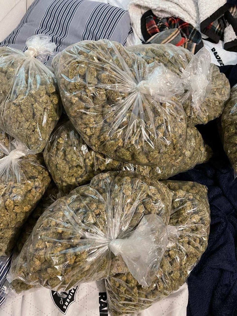 Bud_Box_'s tweet image. What you gonna do with all this ?