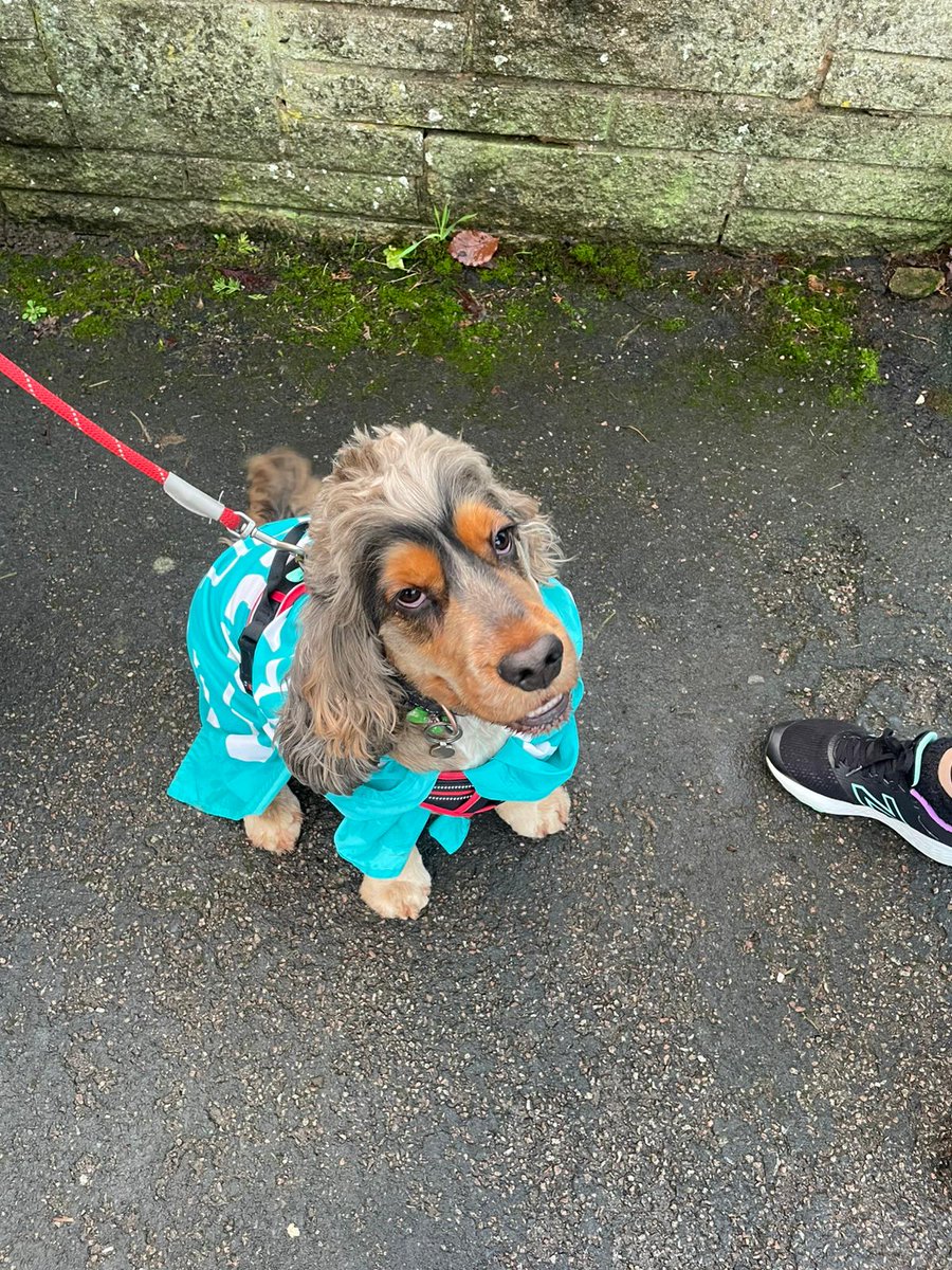 National Education Union tweet media