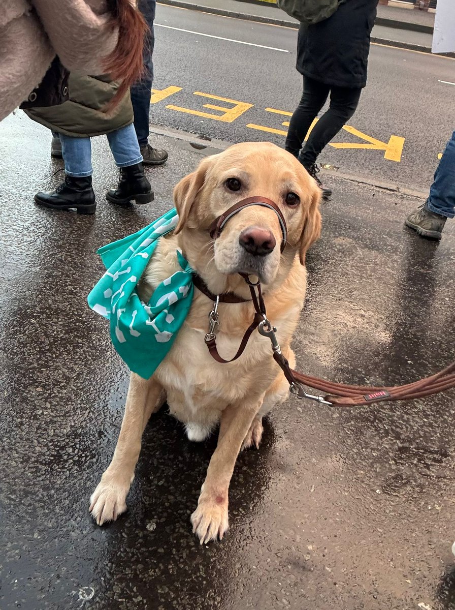 National Education Union tweet media