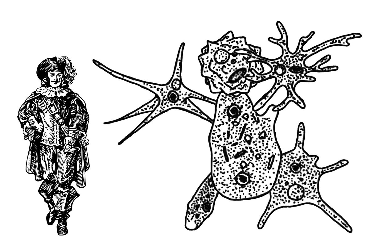 simpledisorder's tweet image. Newest artwork: d10.life/welcome