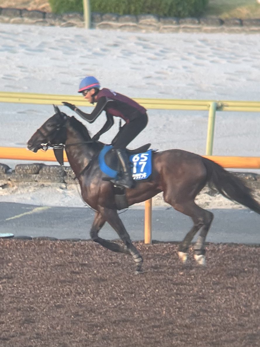 坂井直樹™︎🎃 tweet media