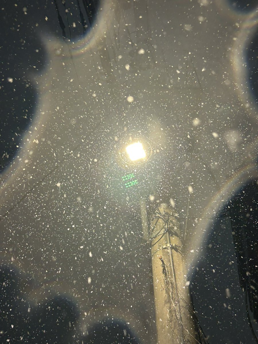 owo_8w8_ouo's tweet image. 봄 여름 가을 겨울을 사진 4개로 표현하자면 ?
여러분들의 사계절도 보여주세요 🫶🏻