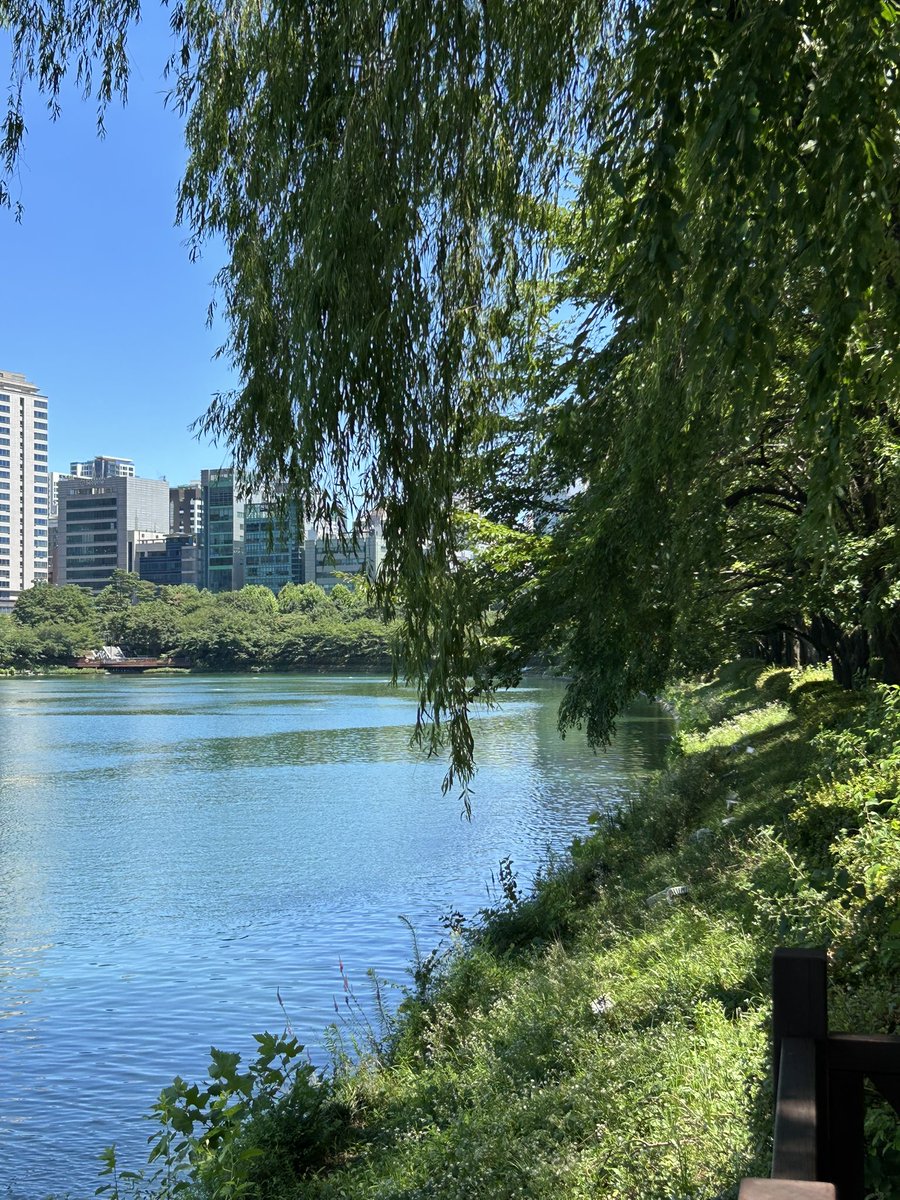 owo_8w8_ouo's tweet image. 봄 여름 가을 겨울을 사진 4개로 표현하자면 ?
여러분들의 사계절도 보여주세요 🫶🏻