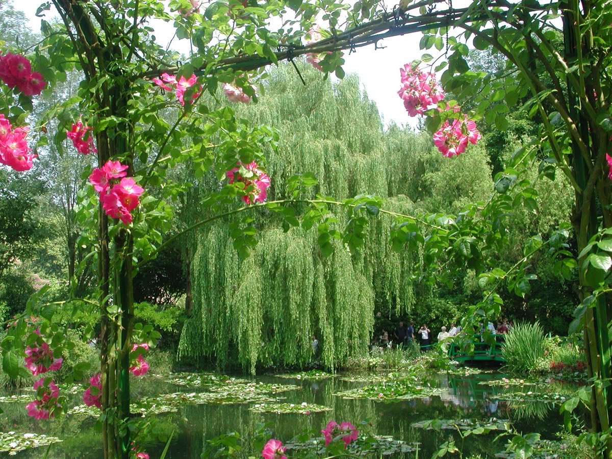 1leio's tweet image. 