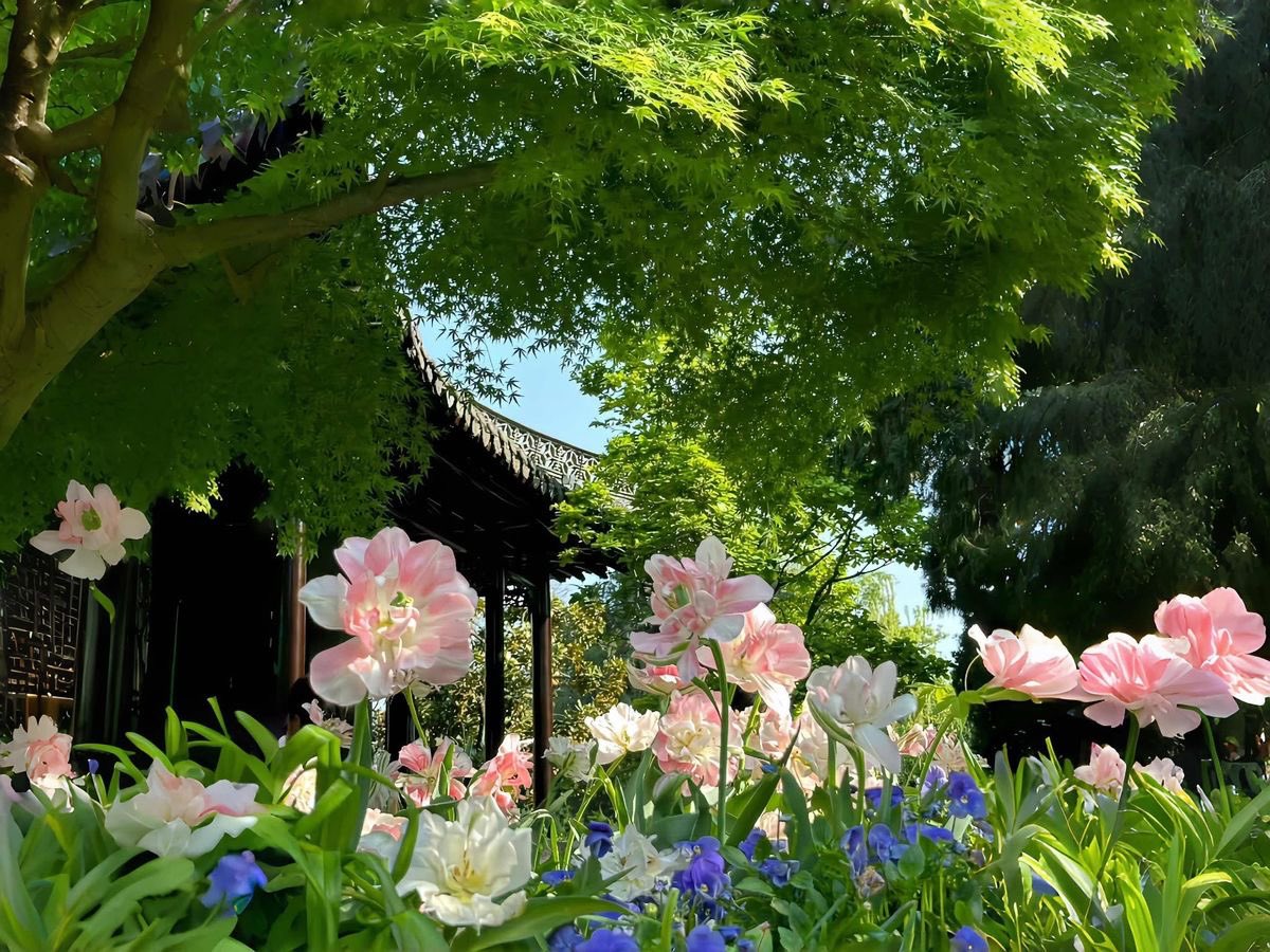 1leio's tweet image. 