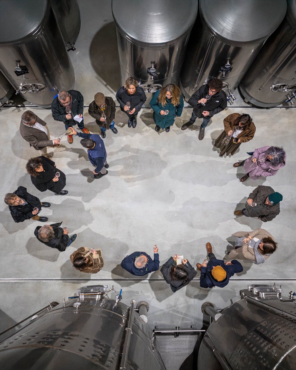 vilaviniteca tweet media