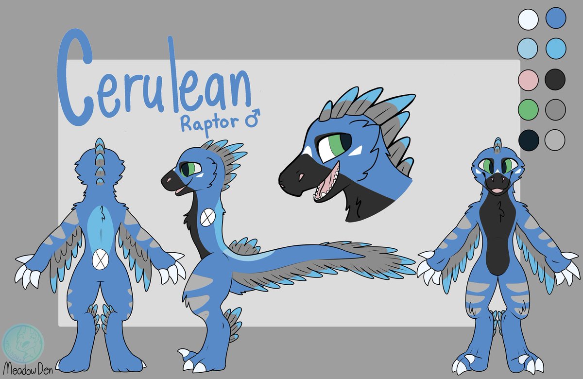 Raptor 🔜 FWA tweet media