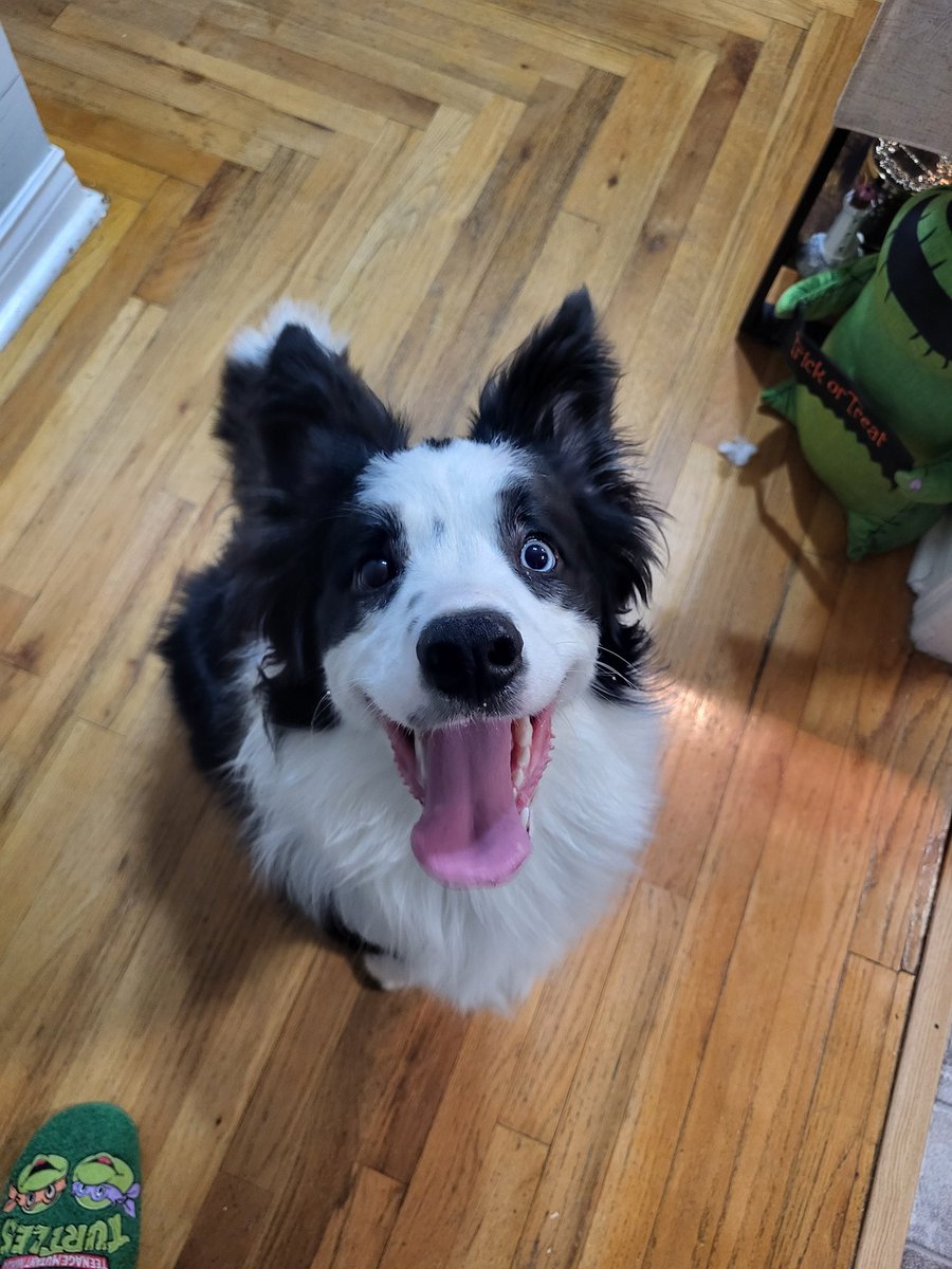 Crash 'CrashTheSkylands' Rowsell tweet media