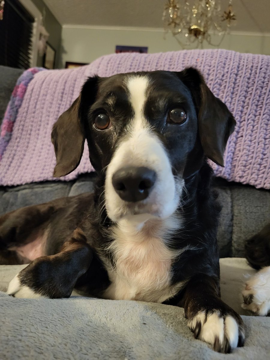 Crash 'CrashTheSkylands' Rowsell tweet media