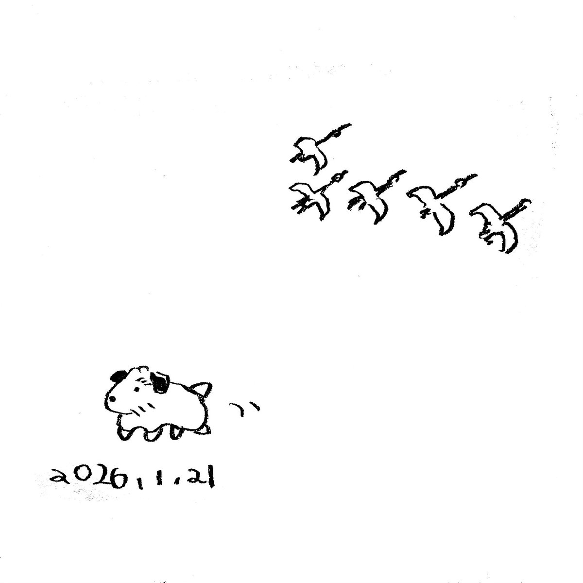 ごろごろ (@gorori56goro) / Posts / X