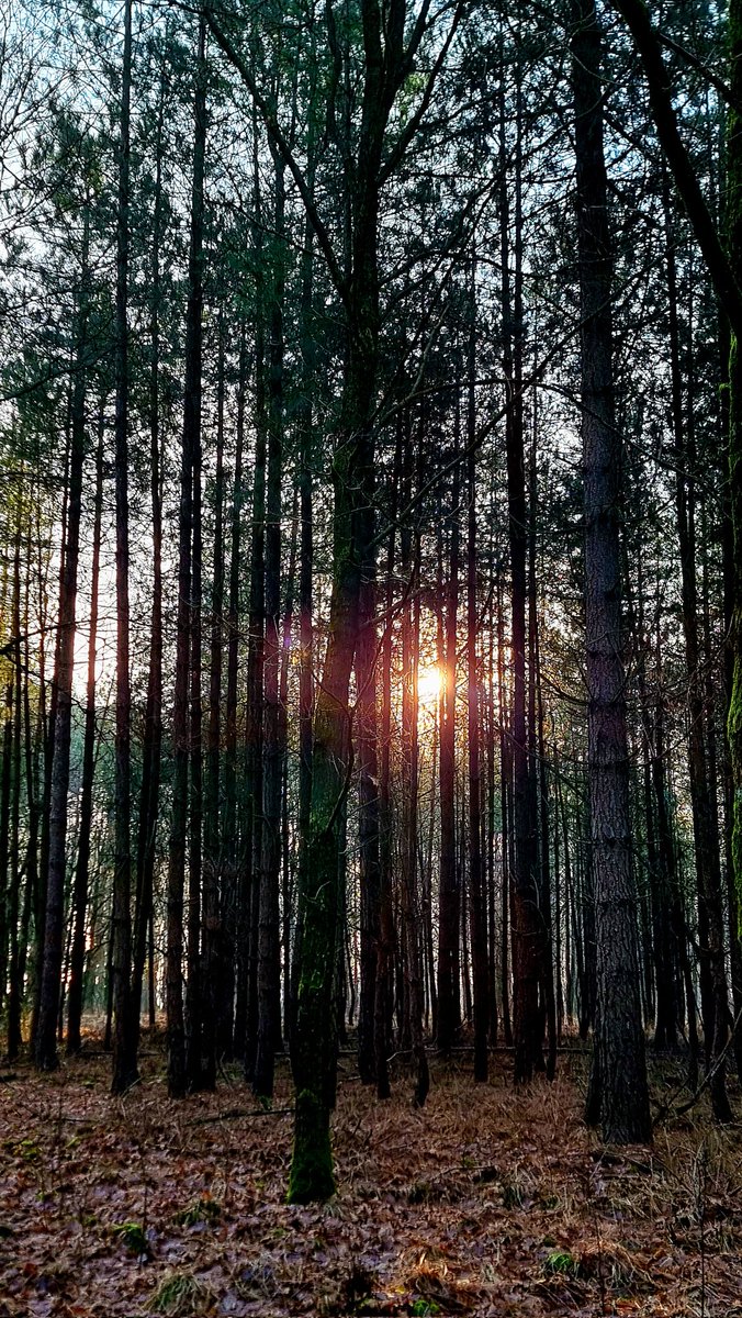 DeKikker72's tweet image. Het was een frisse maar mooie ochtend en met zo'n 24.000 stappen heb ik m'n beweging voor vandaag wel gehad
#out