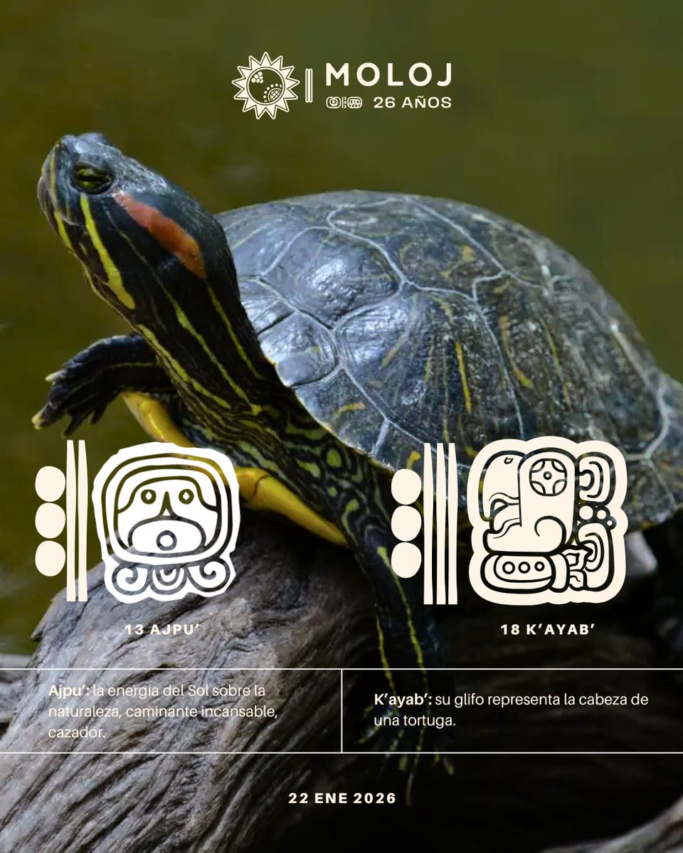 asociacionmoloj's tweet image. #Ajpu 🐚| Agradecemos al abuelo Sol ☀️por la calidez que nos permite sentir y la energía que nos transmite.🔥

#energia 
#calidez 
#espiritualidadmaya