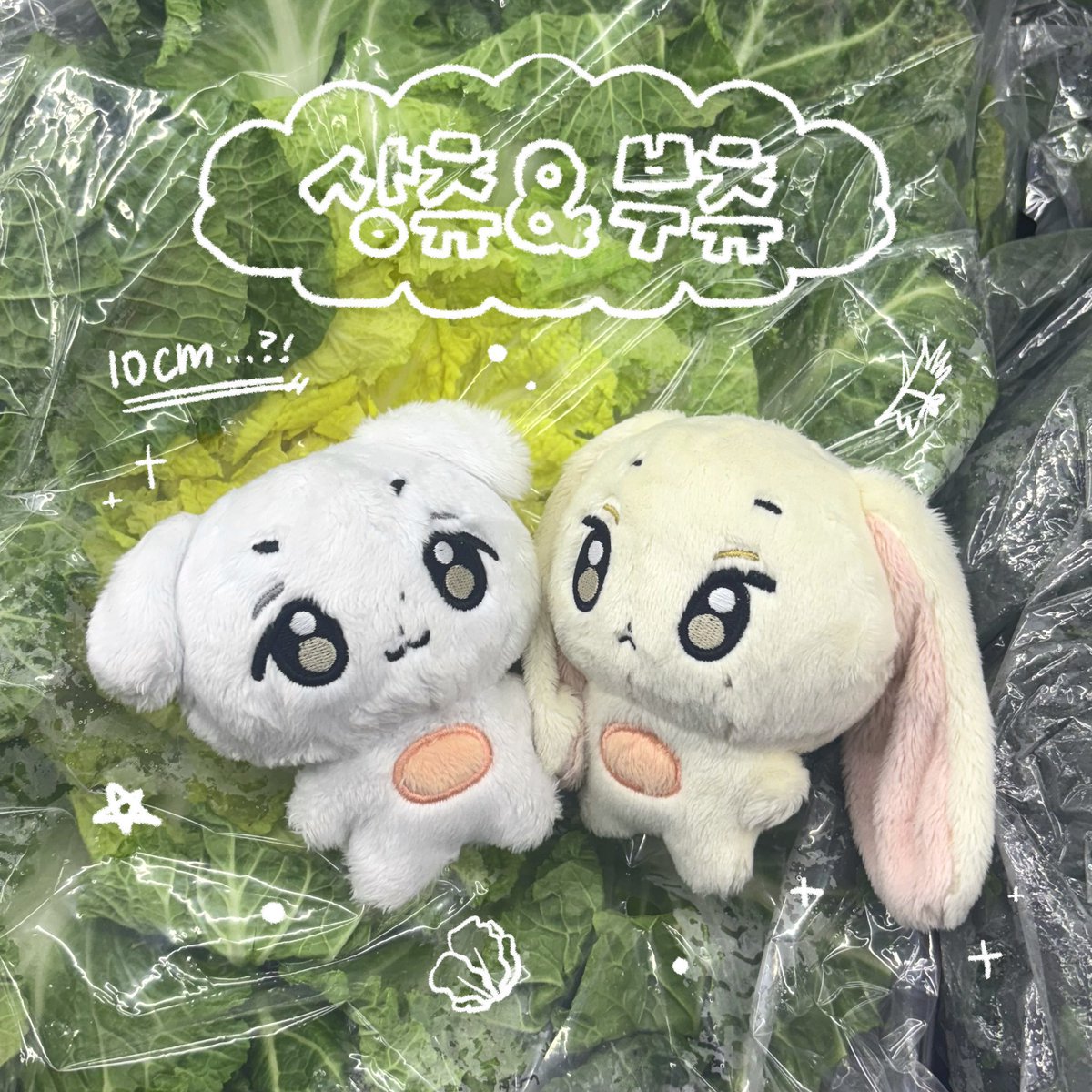 Bigcake板栗饼GO
📍🇨🇳
崔立于 郑相炫 10cm <a href="/chuchuz_doll/">츄츄네 야채가게🥗(재고판매💕)</a>  玩偶

定金2.02截止  
🔗 k.youshop10.com/xLo6G7OD
后续补国际和国内邮

微店微博：Bigcake板栗饼
redbook🍠：Bigcake板栗饼
微店：Bigcake板栗饼