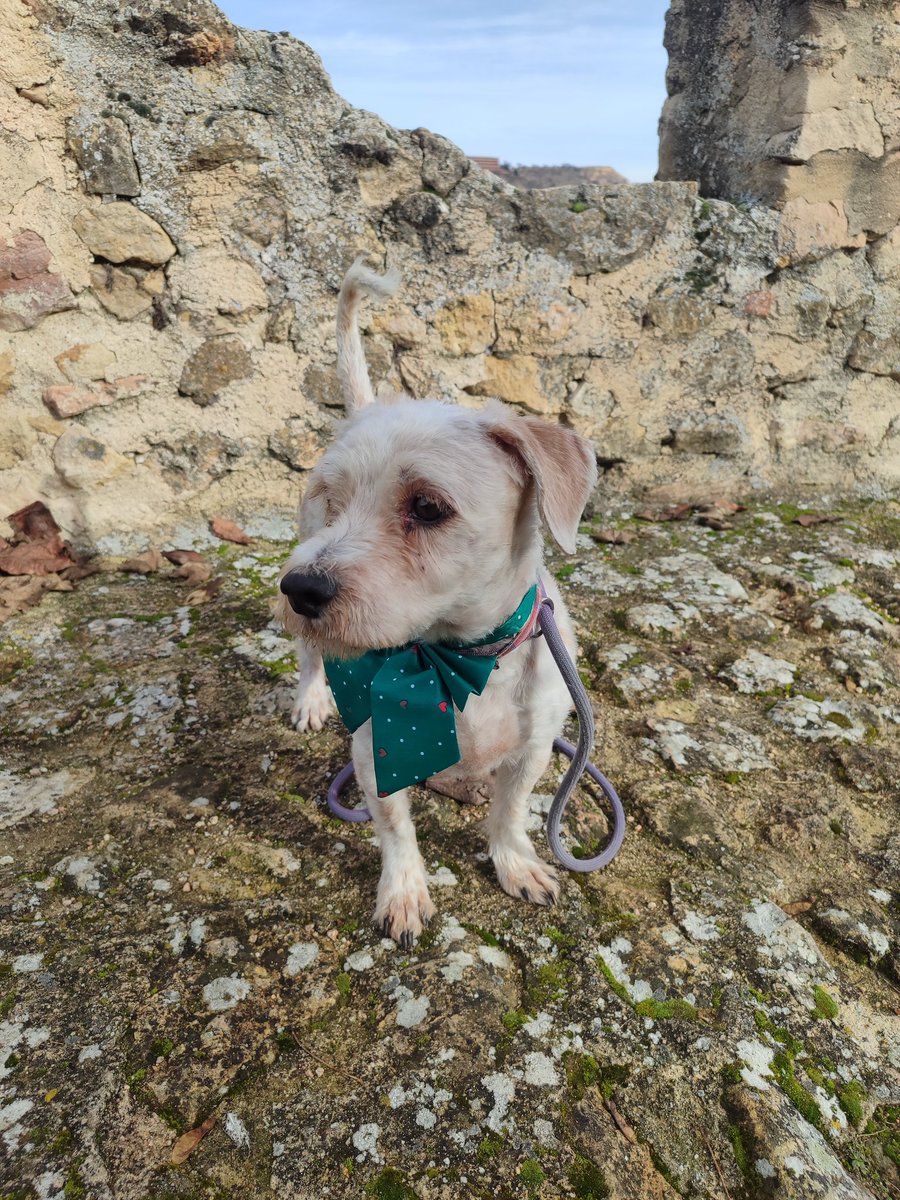 Berta Minguela tweet media