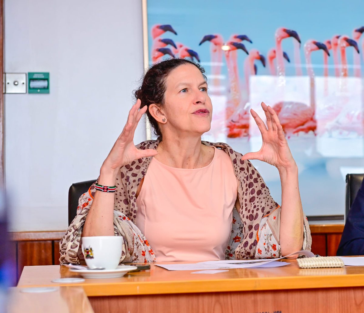 rebecca_miano's tweet image. Einav Tally, the United Nations Industrial Development Organization (UNIDO)  @UNIDO Representative in Kenya, paid a courtesy call to the Ministry’s headquarters today.

We engaged on a strategic roadmap to merge industrial development with agritourism. This is set to unlock…