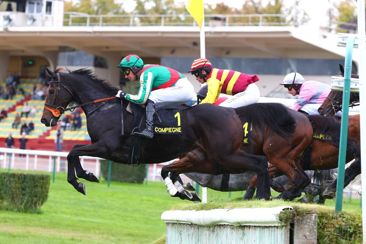 CharlyMilpied's tweet photo. Respectivement troisième et quatrième de la course préparatoire, Iceo Madrik &amp; Placenet (D. Cottin) retournent à Cheltenham ce samedi pour valider leur ticket pour le Festival de mars !

🐴 Iceo Madrid (L-P. Bréchet)
🐴 Placenet (S. Twiston-Davies) https://t.co/WRVdxsIjdh
