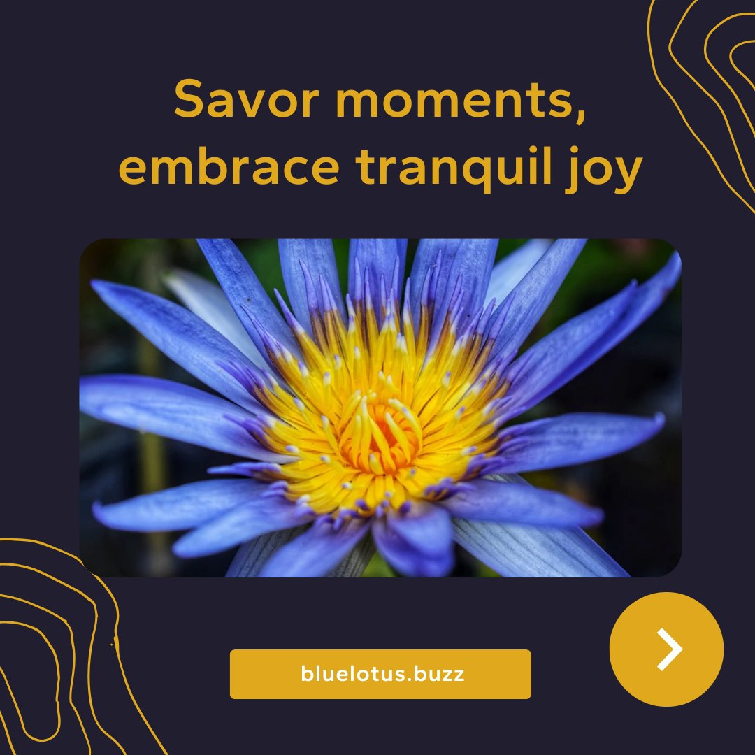 bluelotus_buzz's tweet image. Slow down. Savor the moment 🌸
Blue Lotus has been cherished for centuries as a symbol of calm, clarity, and mindful joy. A gentle reminder to breathe deeper, feel present, and reconnect with inner peace. ✨
Explore more at bluelotus.buzz
#BlueLotus #NaturalWellness