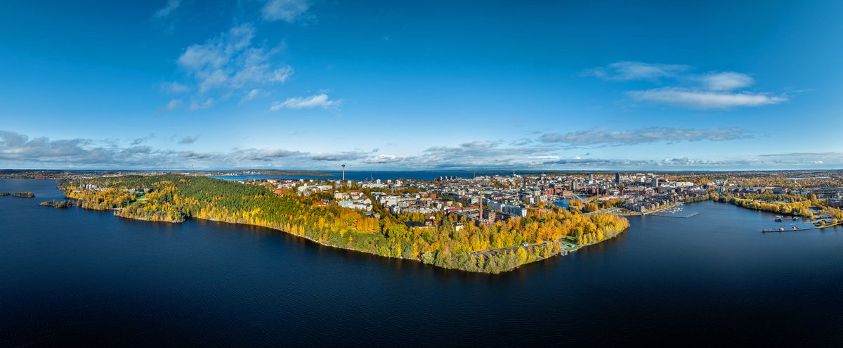 IEEE International Conference on Image Processing tweet media