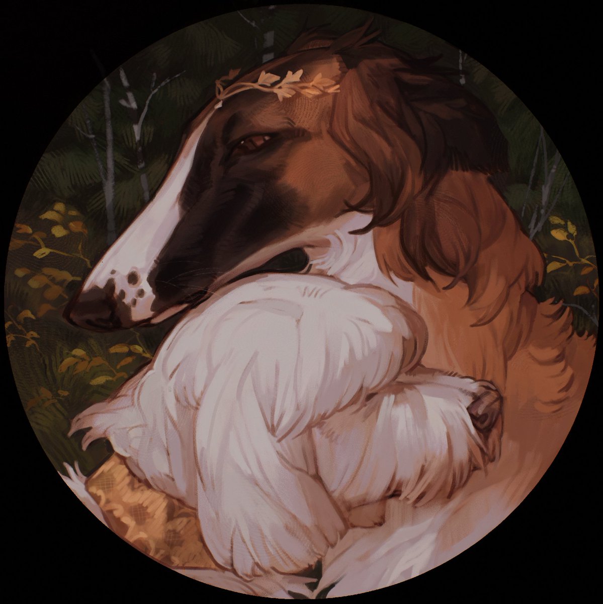 ᴋɪ·ᴋᴜɴ🌿🌌💤 (@kibrunka) on Twitter photo 