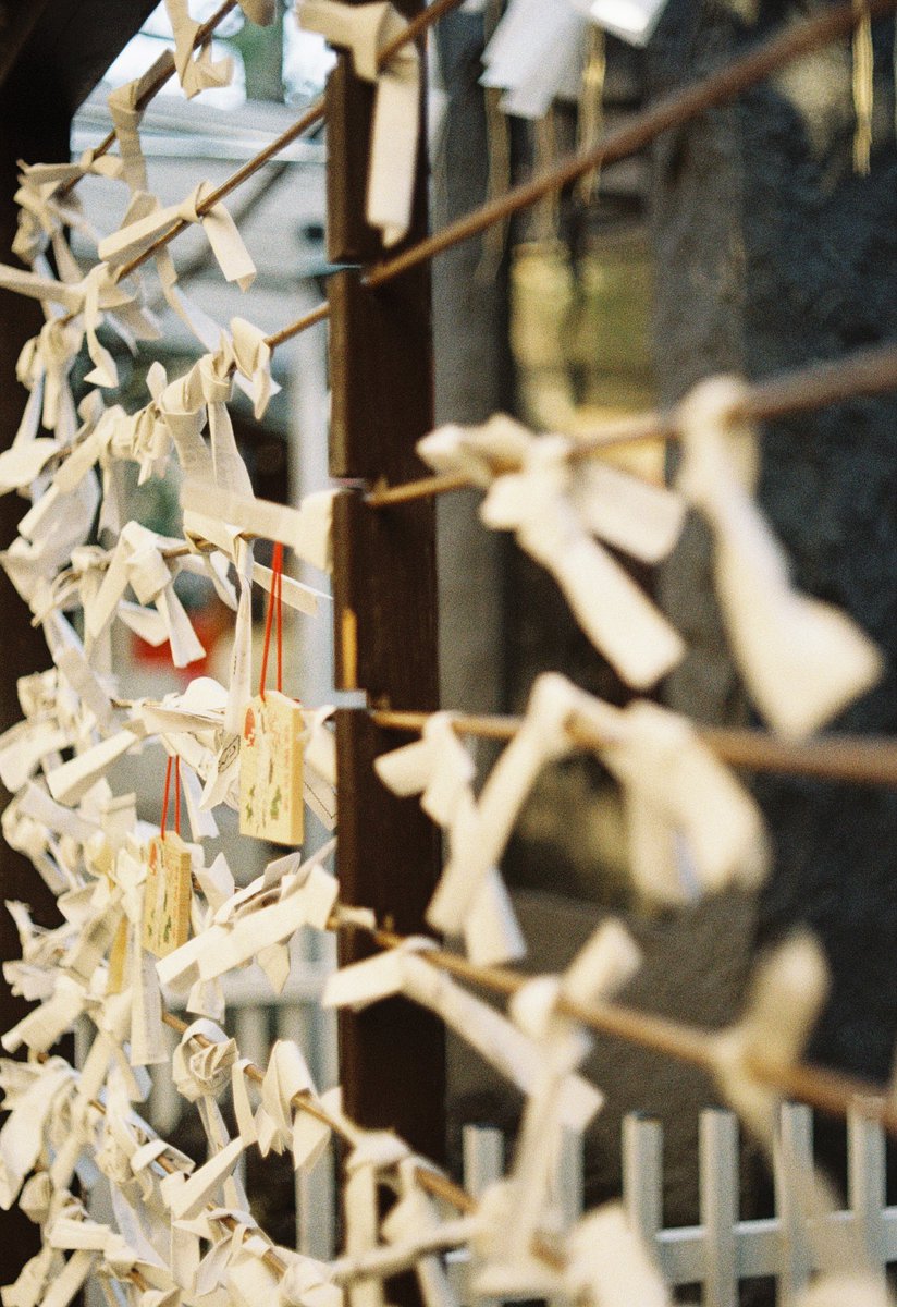 matsuda_photo's tweet photo. Wishes linger where words cannot stay.
言葉が留まれない場所に、願いだけが残る。

#streetphotography
#filmphotography
#japanesescene
#quietmoments
#poeticvisuals
#abstractphotography
#nostalgictones https://t.co/CaZ3FDWYZm