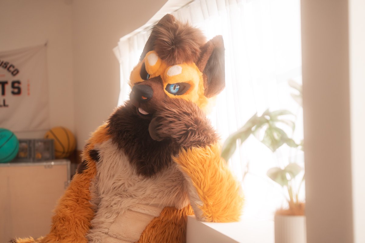 PLANT@TAIWAN tweet media