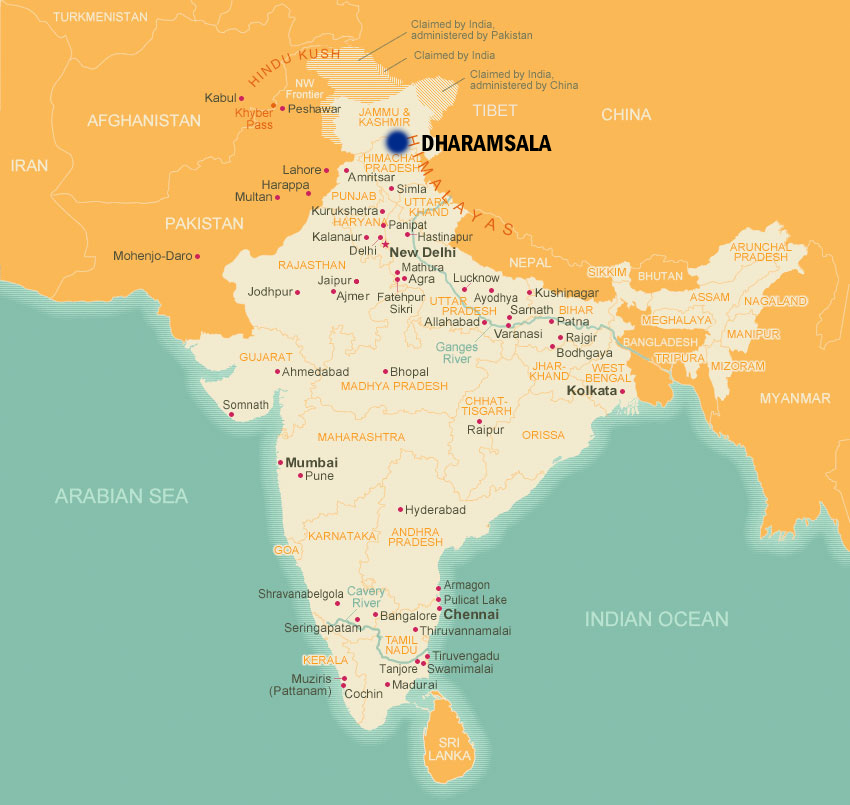 Robin Currie tweet media