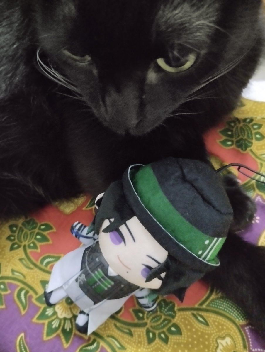 lil fella came home earlier than expected, I says with joys. my cat, though sleepy, was still inclined to try and eat him (photos taken seconds before disaster)

#ジールみて #zealmerch