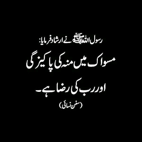 Shafiqkhosa90's tweet photo. میرے پیارے نبی محمد مصطفیٰ ص نے فرمایا https://t.co/TeuxilbezW