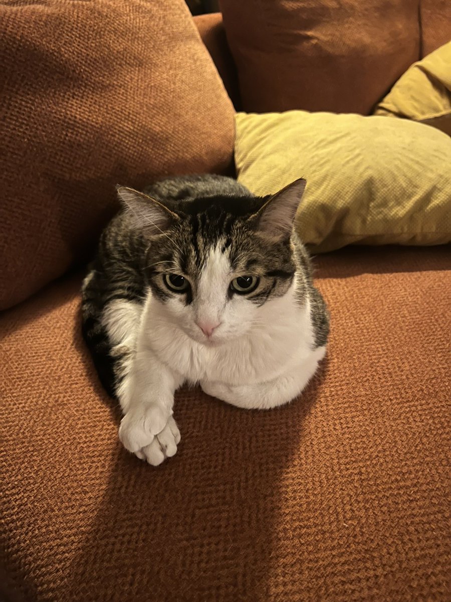 Ben b’şey yaptım 🌹